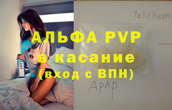 амф Верея
