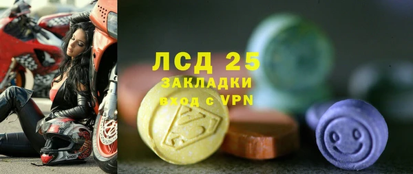 амф Верея