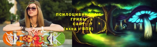 сатива Верхний Тагил