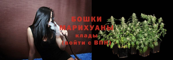 сатива Верхний Тагил