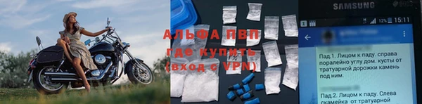 амф Верея