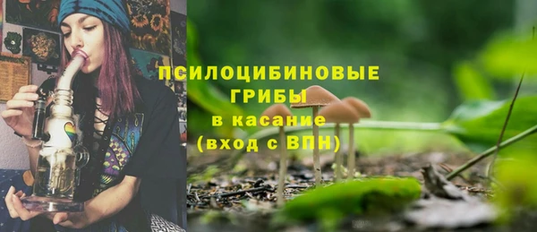 МДПВ Протвино